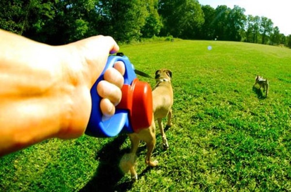 牽狗器發(fā)條彈簧